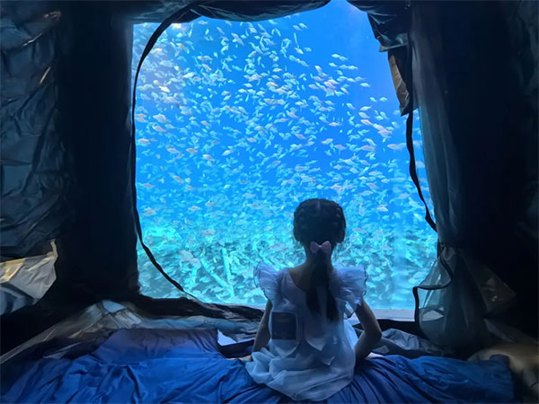 8月2日海洋夜宿火熱招募！與魚共眠的浪漫奇遇名額有限，速來(lái)！